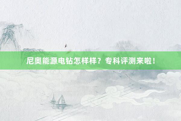 尼奥能源电钻怎样样？专科评测来啦！