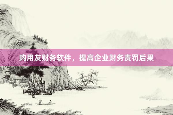 购用友财务软件，提高企业财务责罚后果